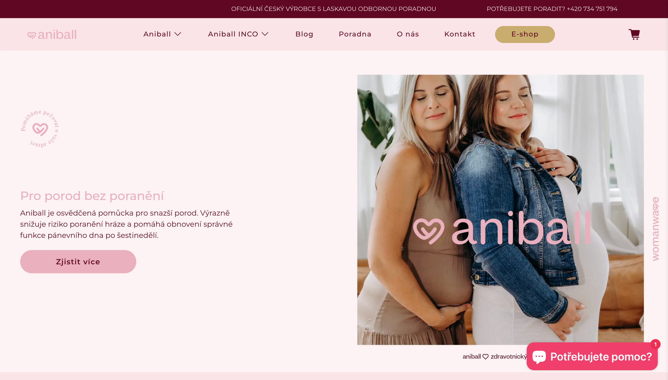 ANiball | renata zichová